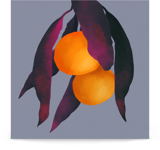 'Oranges - Purple' 14×14 in (35.56cm) Fine Art Print with No Frame - Spilt Art by Melbourne Artist Eryn Levey