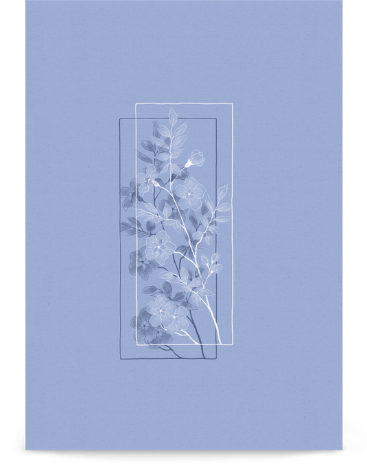 'Window Flower - Blue' 21×30 cm Fine Art Print with No Frame - Spilt Art by Melbourne Artist Eryn Levey